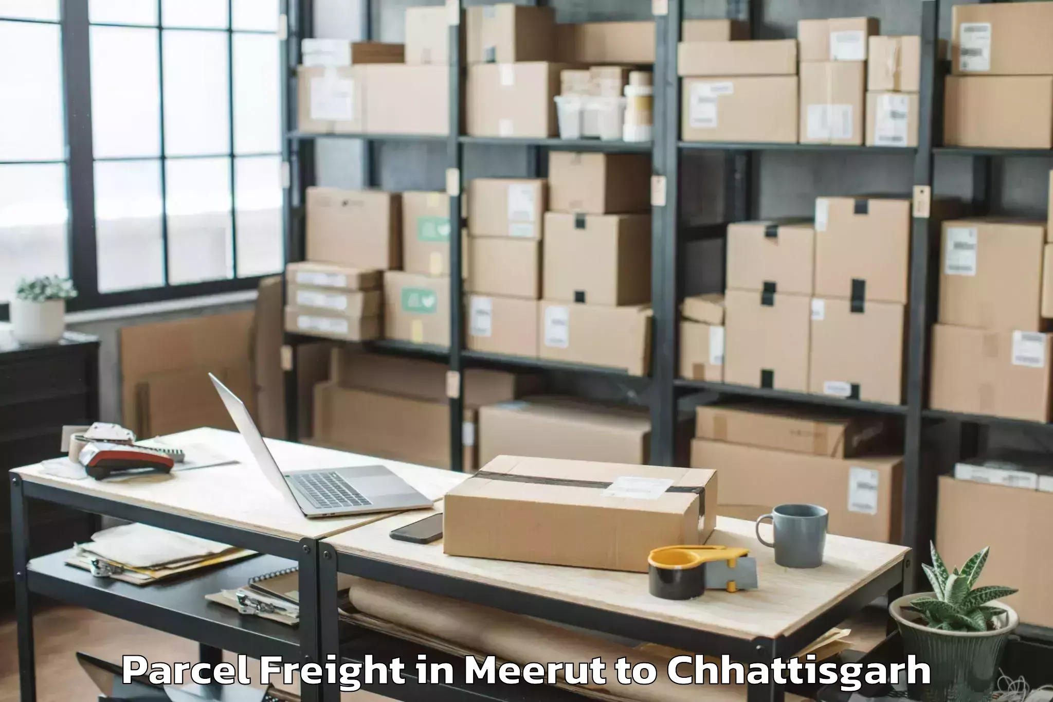 Quality Meerut to Basna Parcel Freight